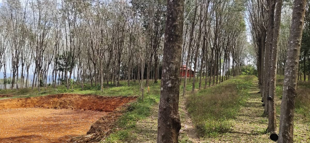 Land for Sale, Thailand, Phuket, Bang Tao | Villacarte