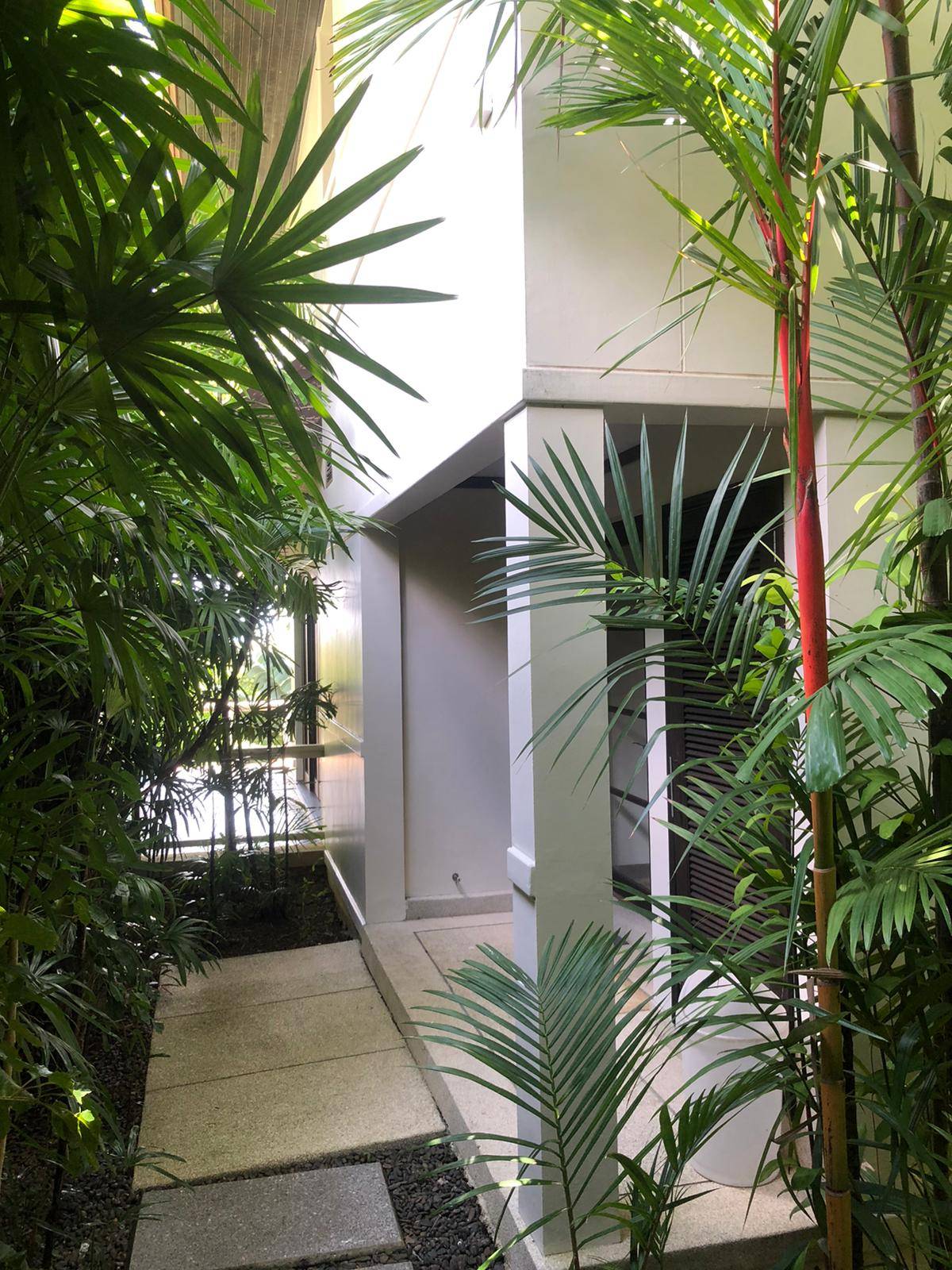 Rent villa Suan Sawan A3, Thailand, Phuket, Kata | Villacarte