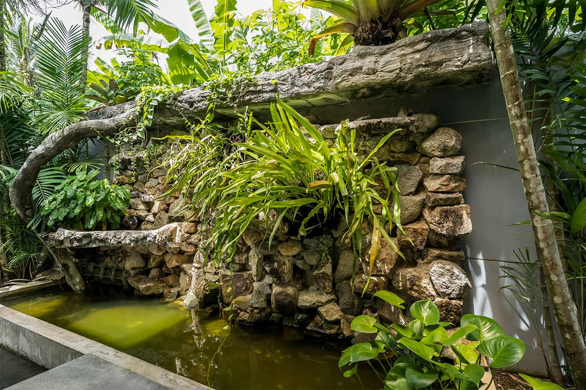 Аренда виллы Coco В1, Таиланд, Пхукет, Камала | Villacarte