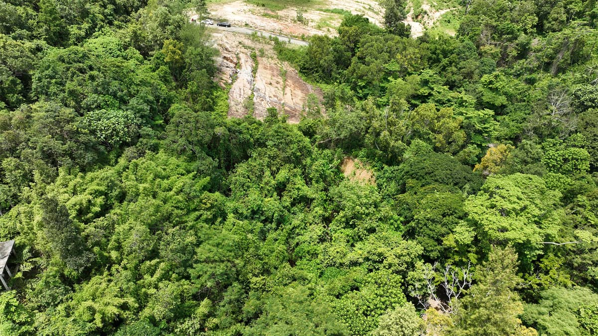 Land for Sale, Thailand, Phuket, Bang Tao | Villacarte