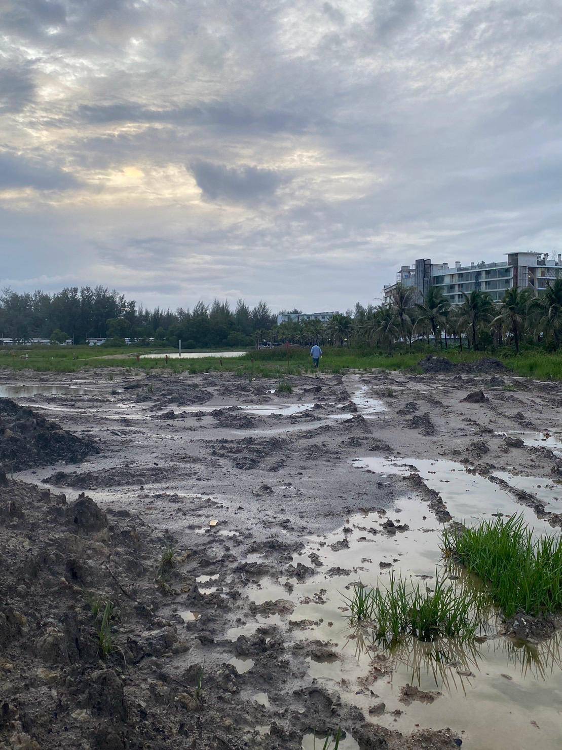 Land for Sale, Thailand, Phuket, Bang Tao | Villacarte