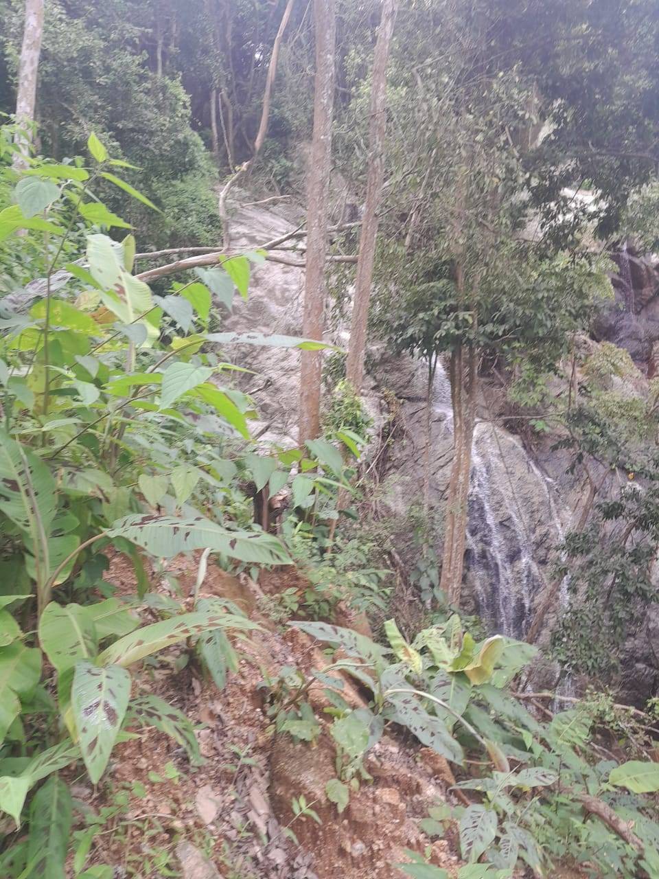 Land for Sale, Thailand, Phuket, Kata | Villacarte