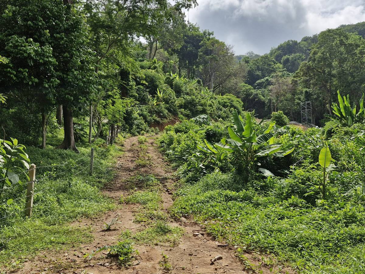 Land for Sale, Thailand, Phuket, Kata | Villacarte