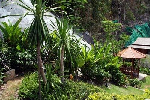 Rent villa Laelia W8, Thailand, Phuket, Kalim | Villacarte