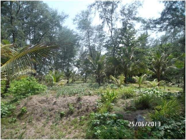 Land for Sale, Thailand, Phuket, Bang Tao | Villacarte