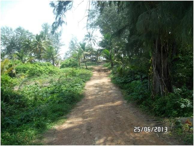 Land for Sale, Thailand, Phuket, Bang Tao | Villacarte