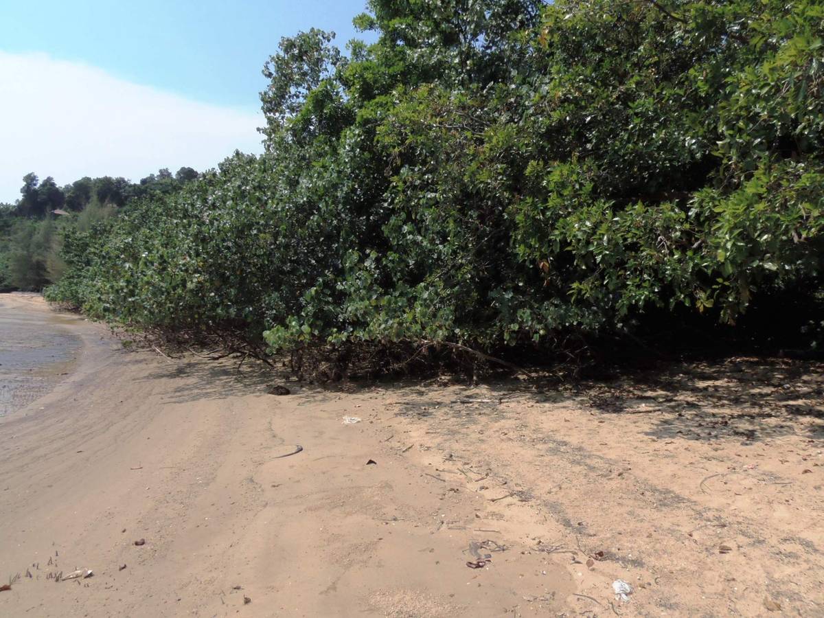 Land for Sale, Thailand, Phuket, Ao Po | Villacarte