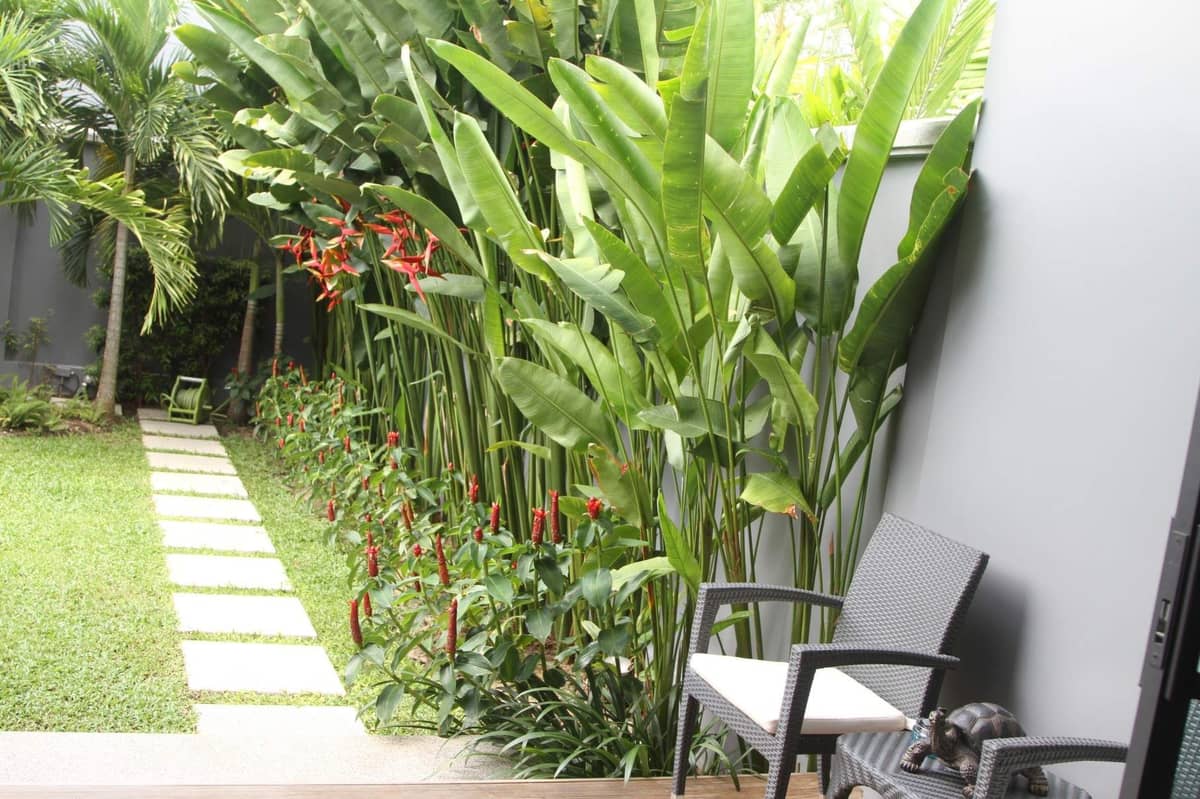 Property for Sale Two Villas, Thailand, Phuket, Nai Harn | Villacarte