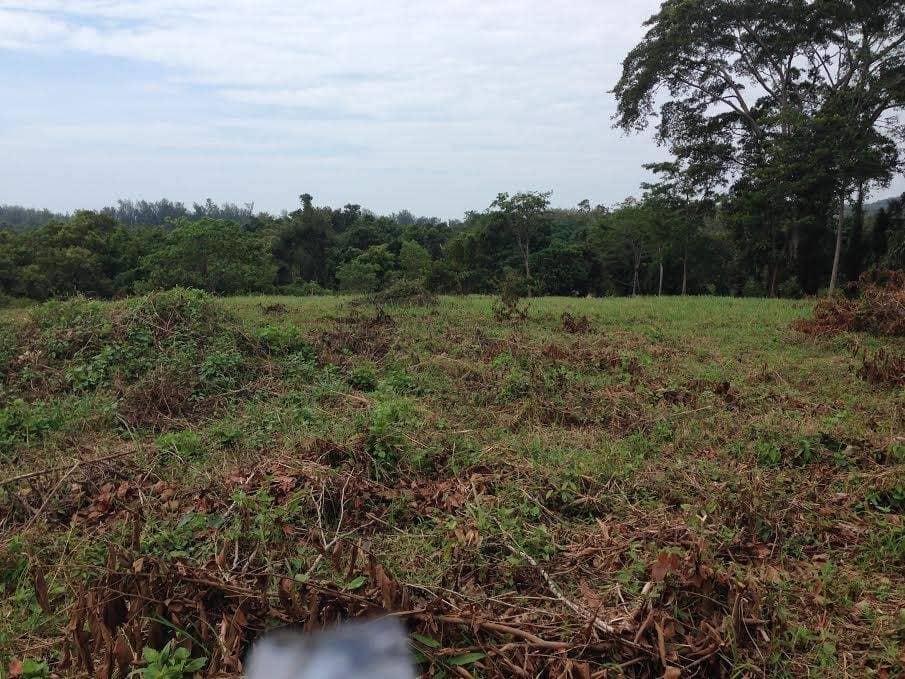 Land for Sale, Thailand, Phuket, Bang Tao | Villacarte