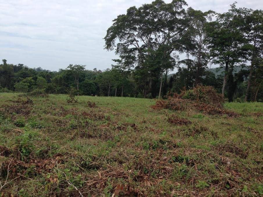Land for Sale, Thailand, Phuket, Bang Tao | Villacarte