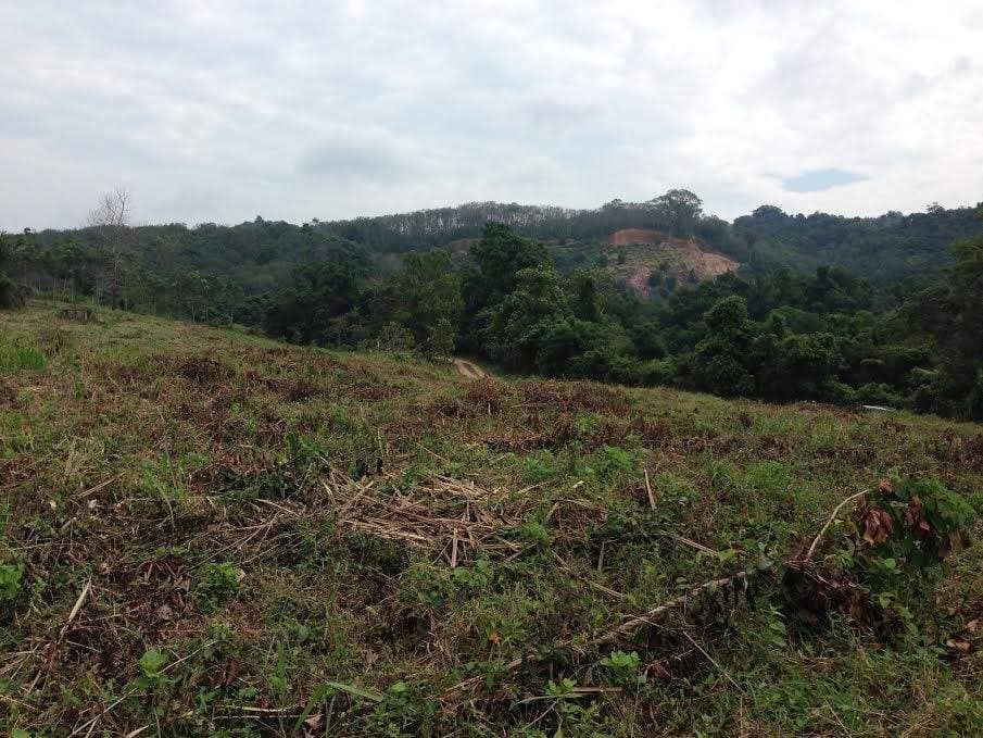 Land for Sale, Thailand, Phuket, Bang Tao | Villacarte