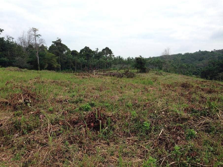 Land for Sale, Thailand, Phuket, Bang Tao | Villacarte