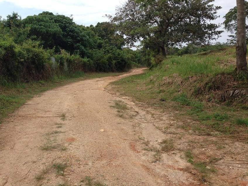Land for Sale, Thailand, Phuket, Bang Tao | Villacarte