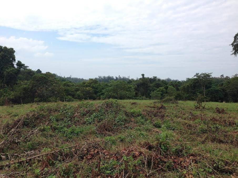 Land for Sale, Thailand, Phuket, Bang Tao | Villacarte