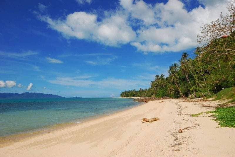 Rent villa Daisy, Thailand, Samui, Bang Po | Villacarte