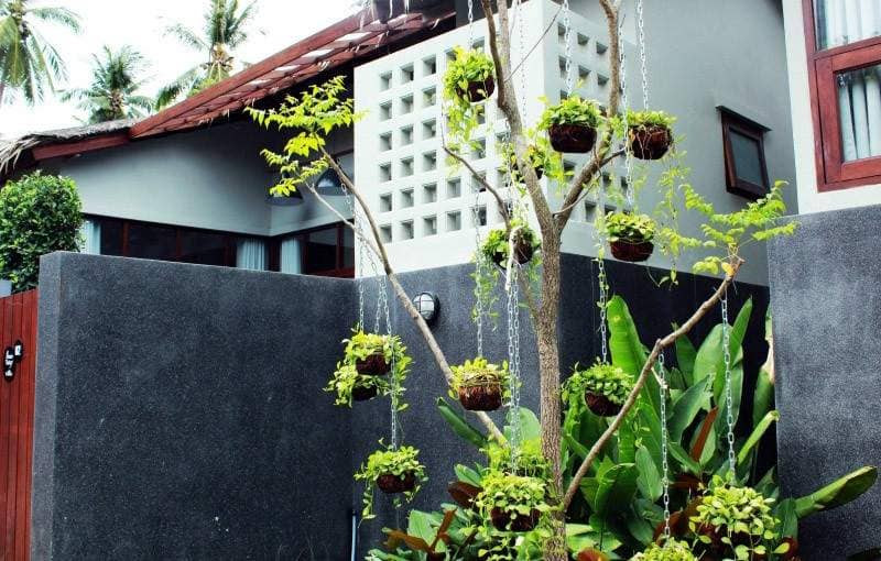 Property for Sale Koh Samui Villas, Thailand, Samui, Chaweng Noi | Villacarte