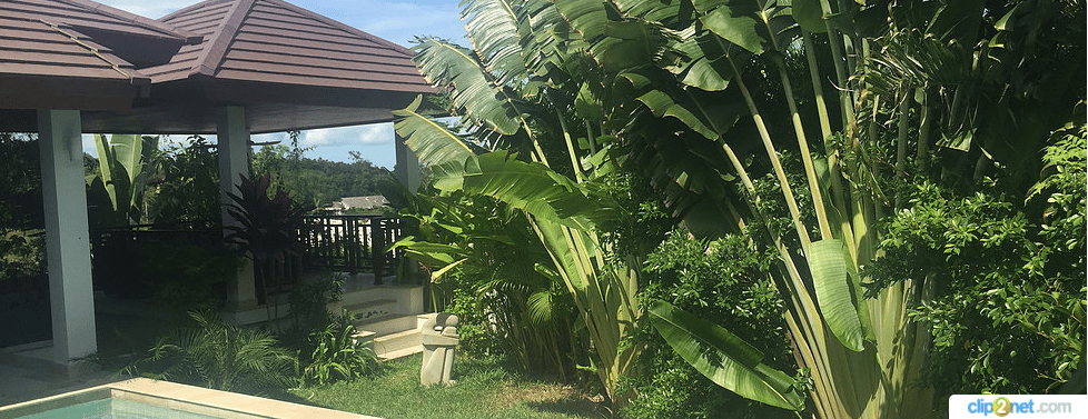 Rent villa Nelida, Thailand, Samui, Choeng Mon | Villacarte