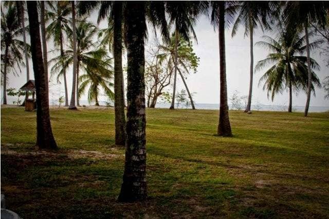 Rent villa Doris, Thailand, Samui, Lipa Noi | Villacarte