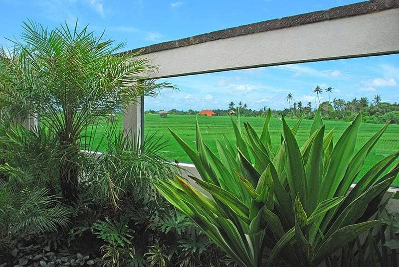 Rent villa Bima, Indonesia, Bali, Csangu | Villacarte