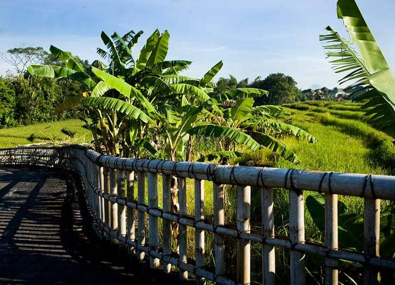 Rent villa Levi, Indonesia, Bali, Csangu | Villacarte
