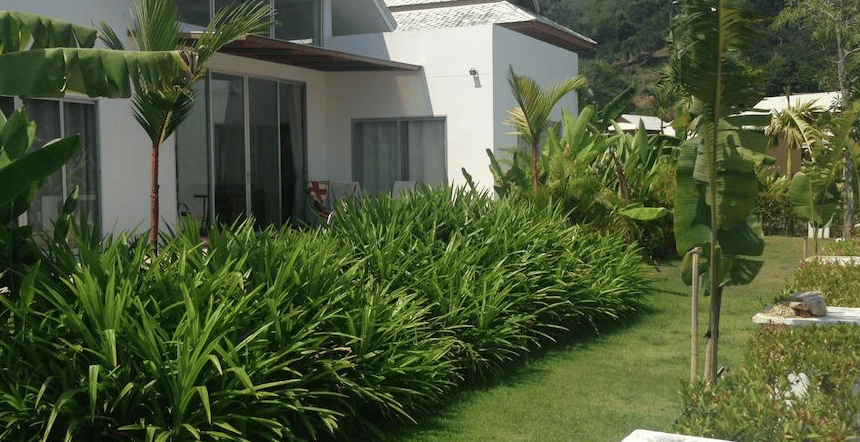 Rent villa Felicita, Thailand, Phuket, Nai Ton | Villacarte