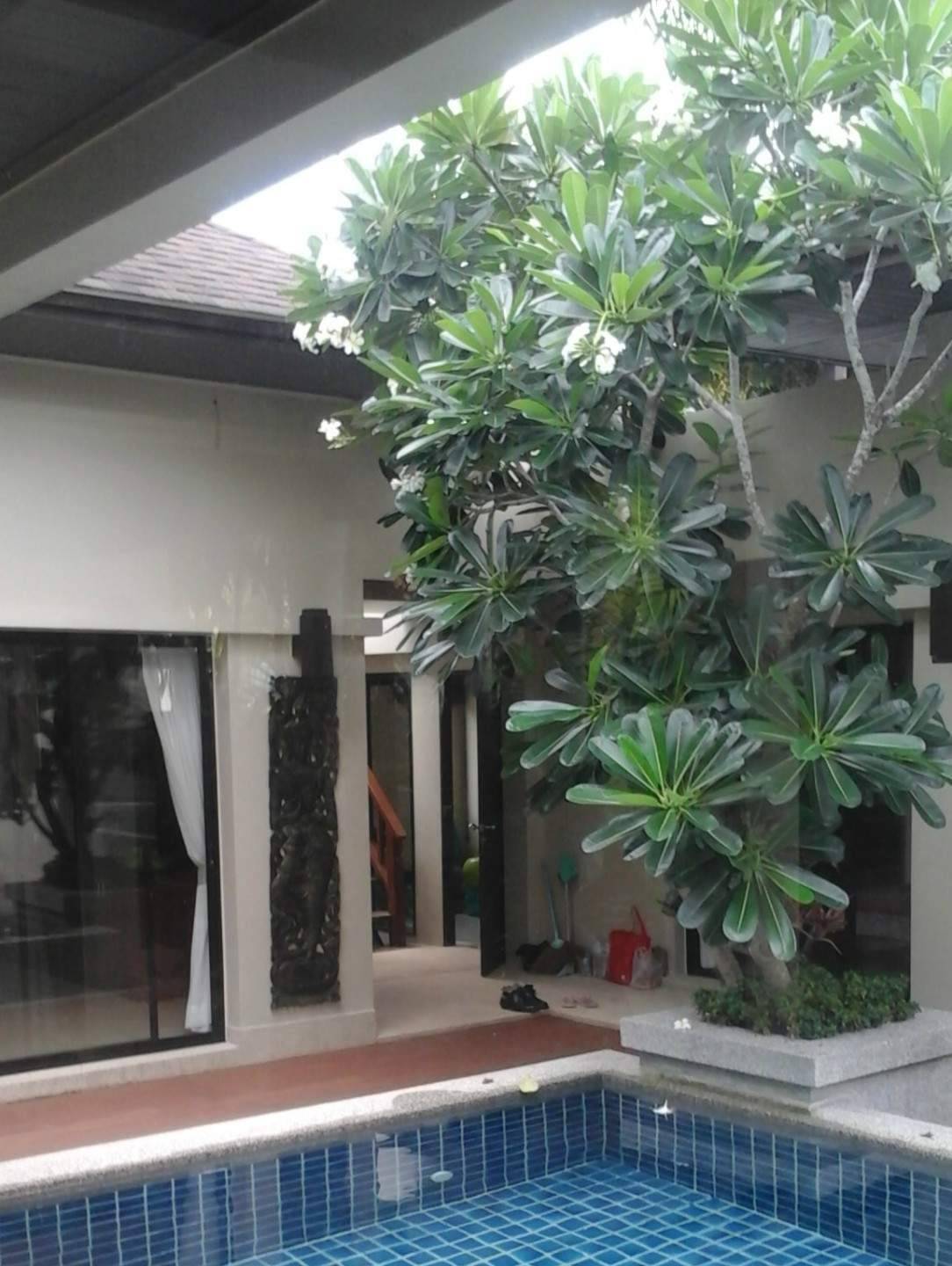 Продажа недвижимости Villa Botanica, Таиланд, Пхукет, Банг Тао | Villacarte