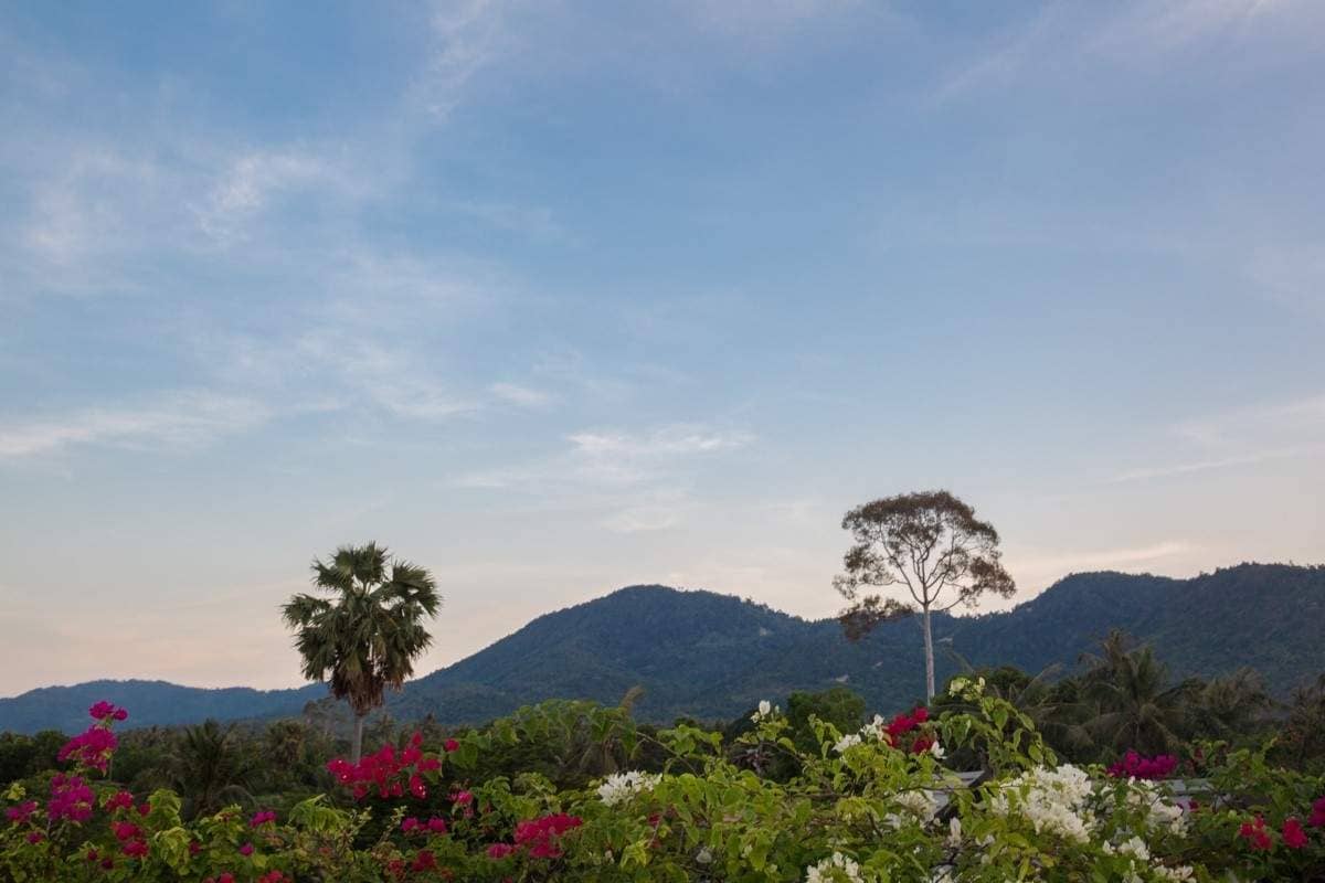 Rent villa Chok, Thailand, Samui, Maenam | Villacarte