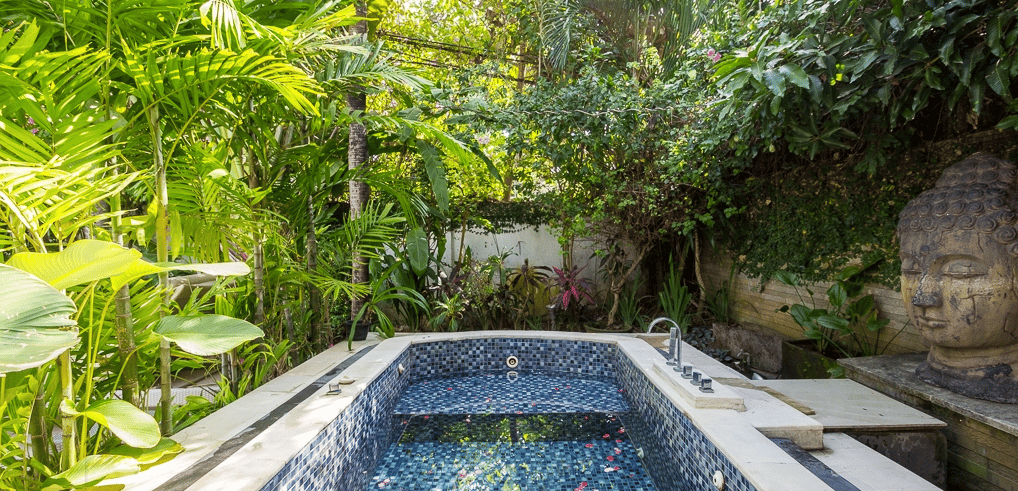Rent villa Aelita, Indonesia, Bali, Seminjak | Villacarte