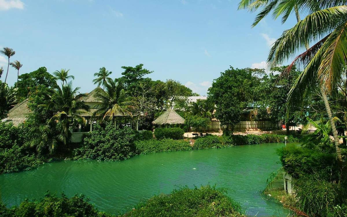 Rent villa Daisy, Thailand, Samui, Maenam | Villacarte
