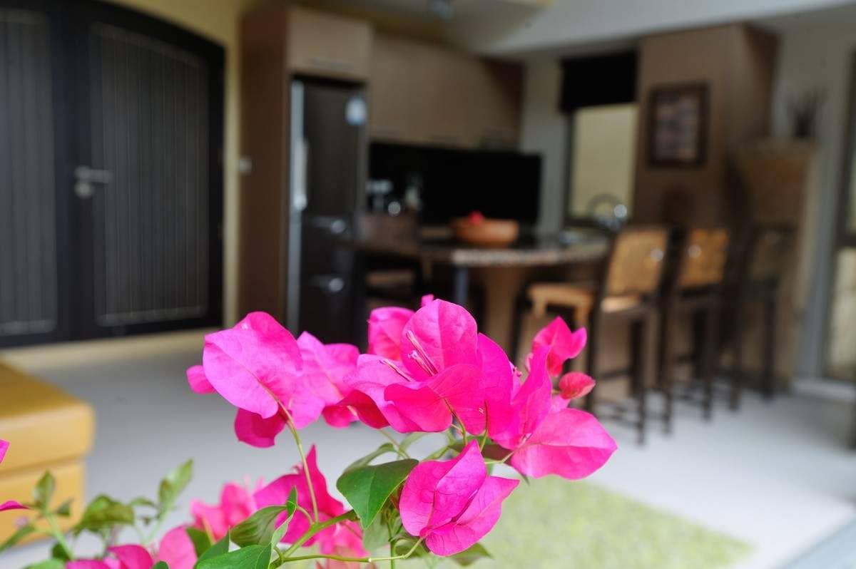 Rent villa Flamingo, Thailand, Samui, Maenam | Villacarte