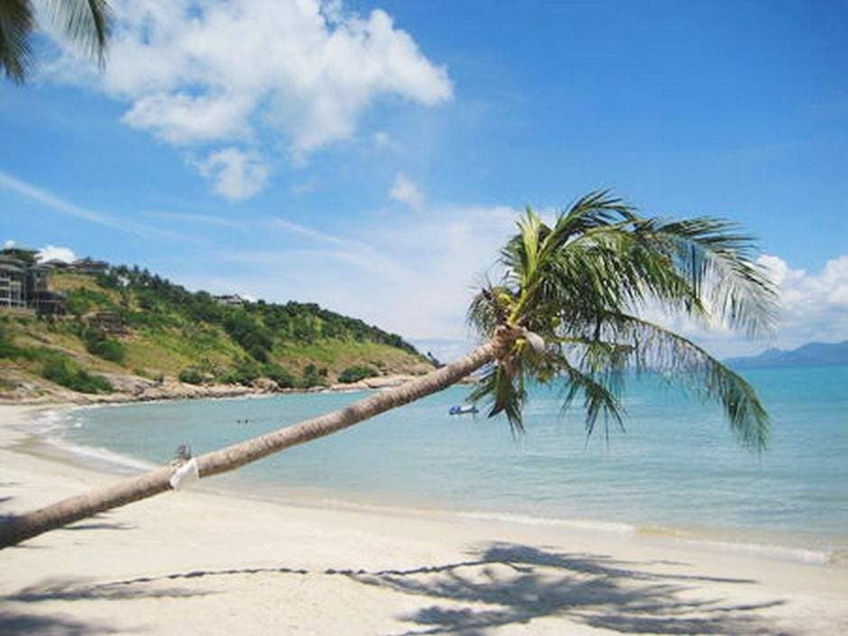 Rent villa Sofia, Thailand, Samui, Choeng Mon | Villacarte