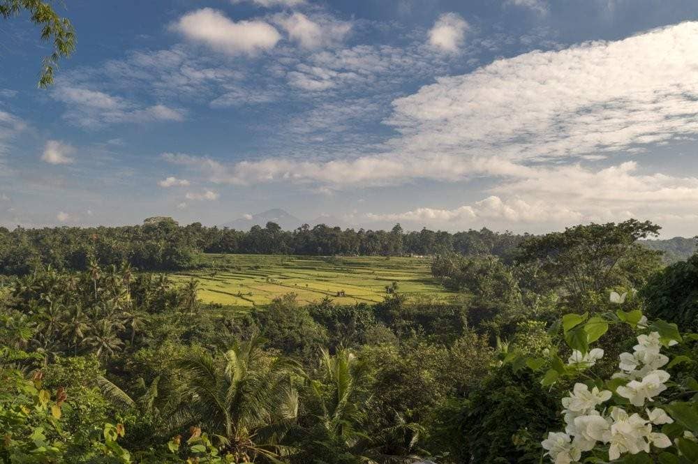Rent villa Cecilia, Indonesia, Bali, Sanur | Villacarte