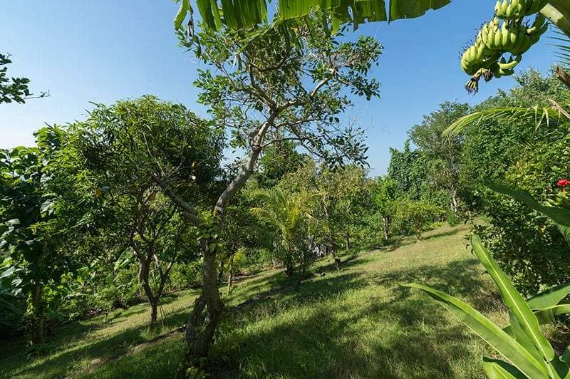 Rent villa Lucretia, Indonesia, Bali, Djimbaran | Villacarte