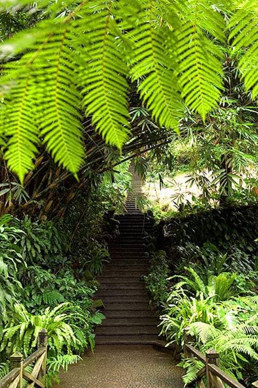 Rent villa Corretta, Indonesia, Bali, Ubud | Villacarte
