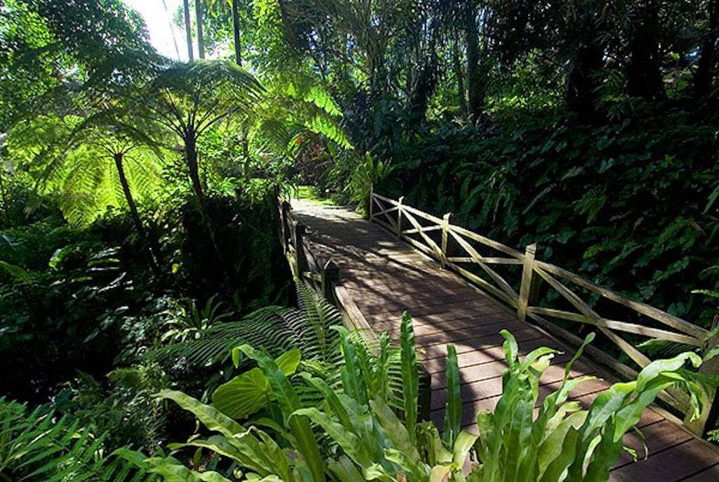 Rent villa Corretta, Indonesia, Bali, Ubud | Villacarte