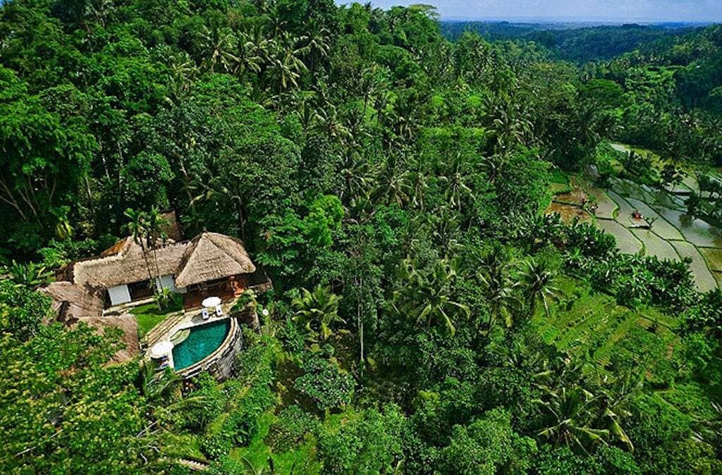 Rent villa Corretta, Indonesia, Bali, Ubud | Villacarte