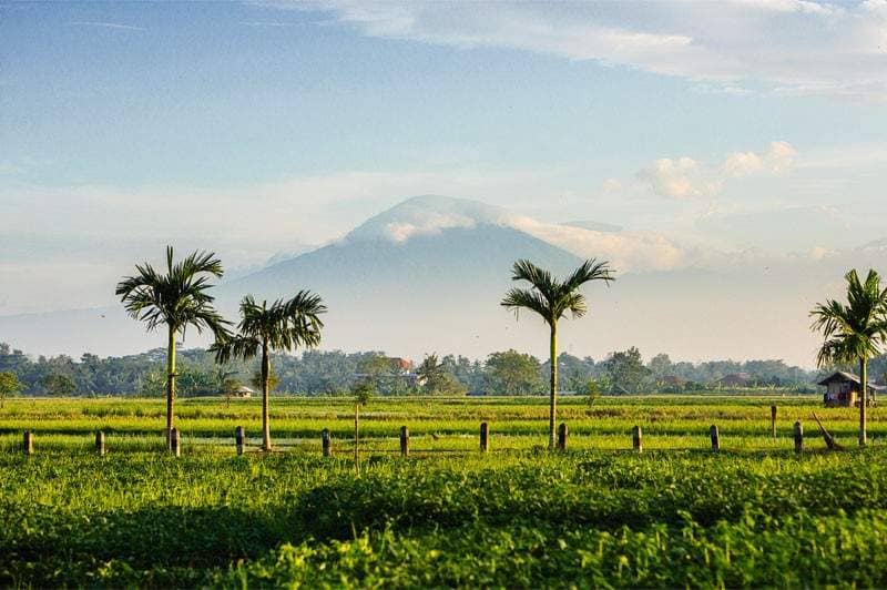 Rent villa Avana, Indonesia, Bali, Changu | Villacarte