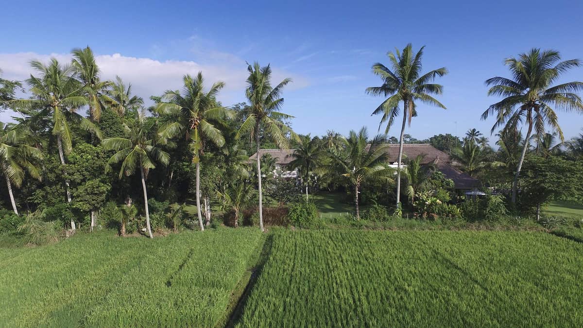 Rent villa Eleanor, Indonesia, Bali, Changu | Villacarte