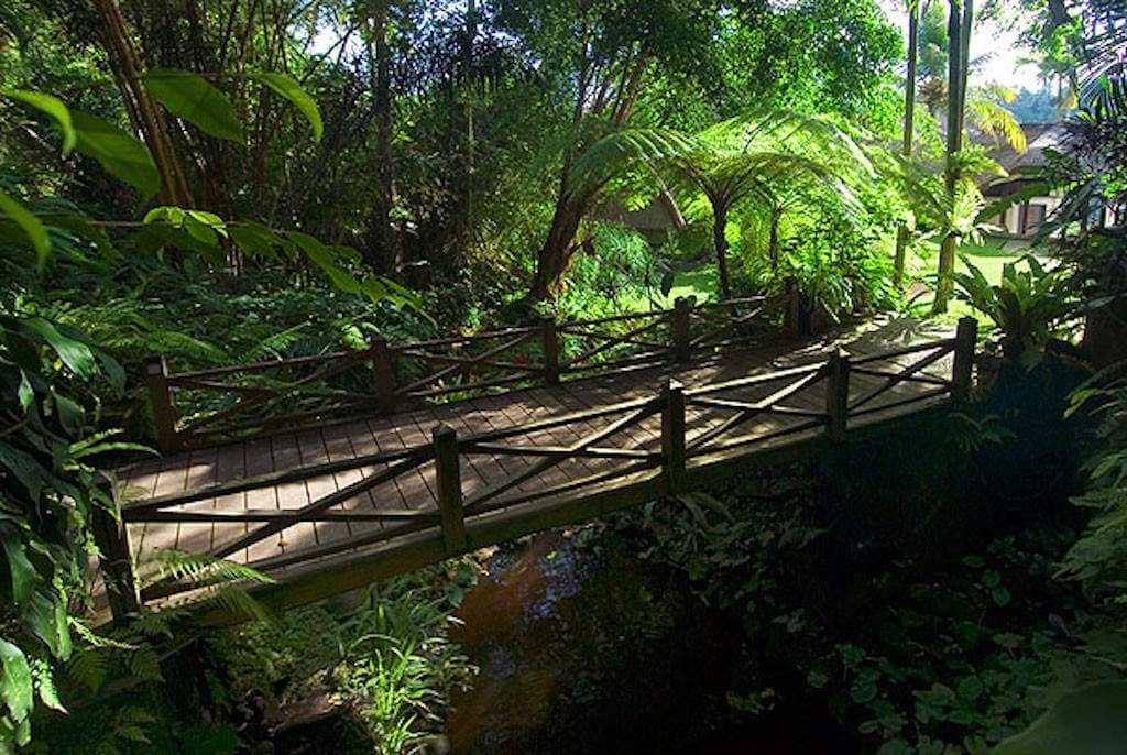 Property for Sale villamelati, Indonesia, Bali, Ubud | Villacarte