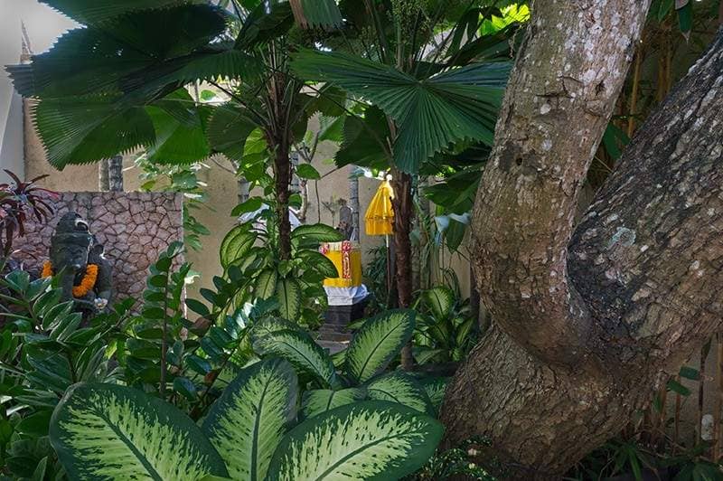 Rent villa Lina, Indonesia, Bali, Seminjak | Villacarte