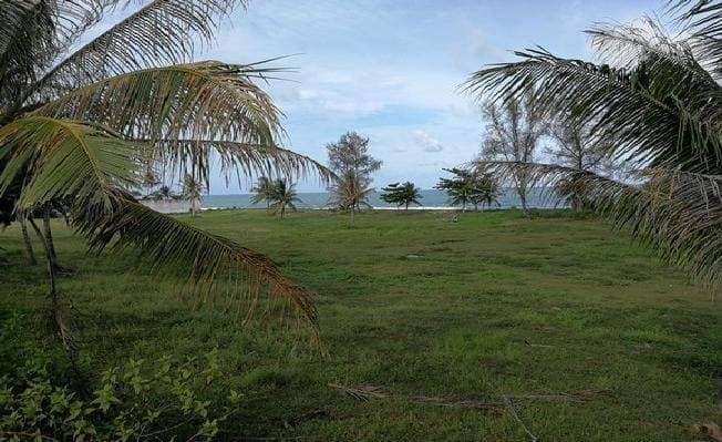 Land plot 