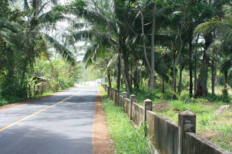 Land plot 
