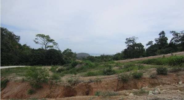 Land plot 
