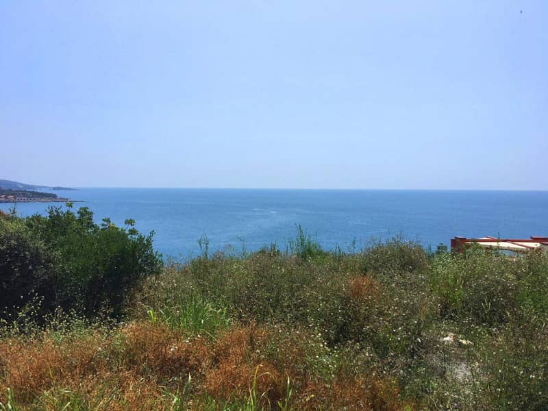 Land plot 