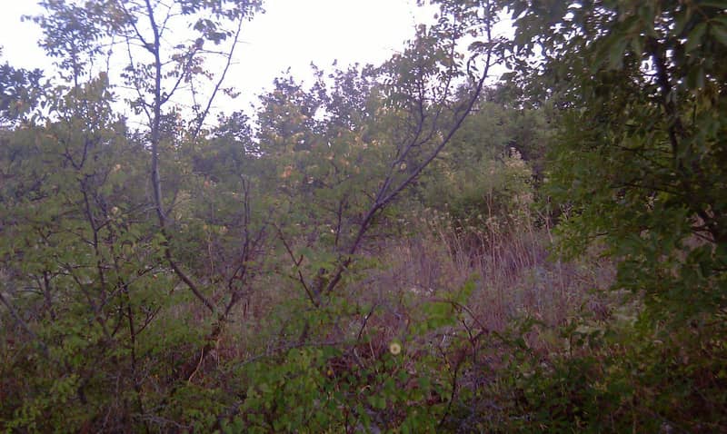 Land plot 