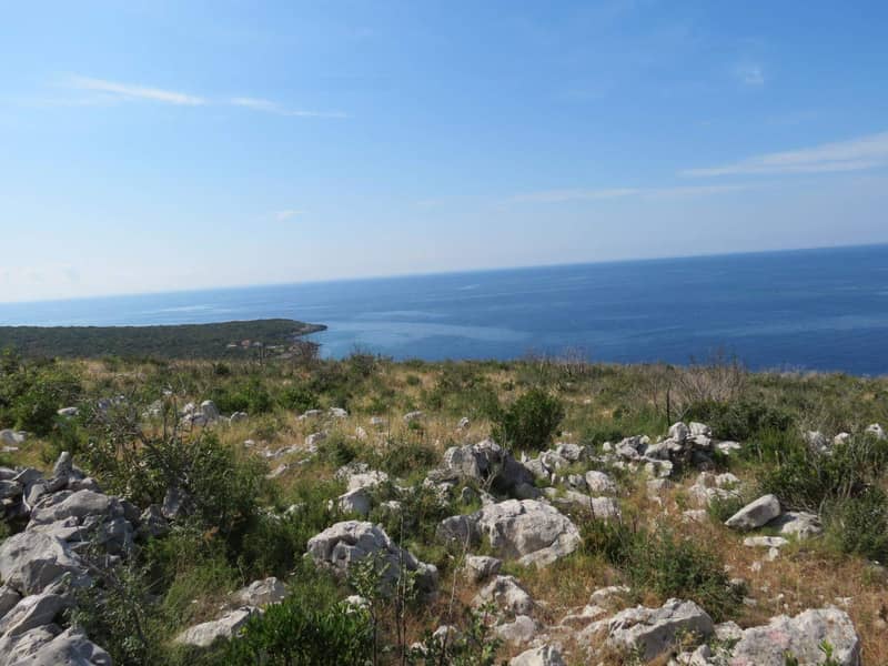 Land plot 