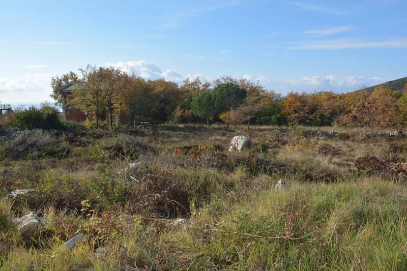 Land plot 