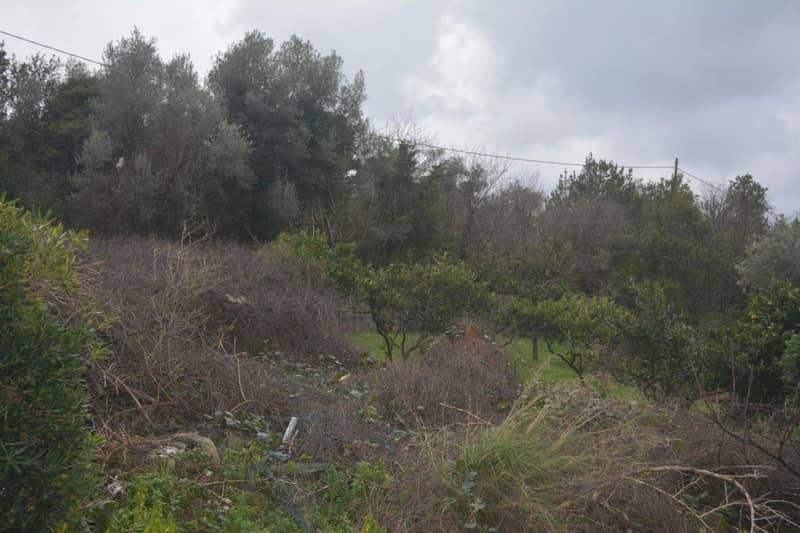 Land plot 