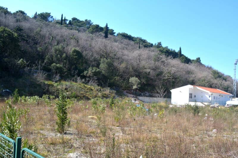 Land plot 
