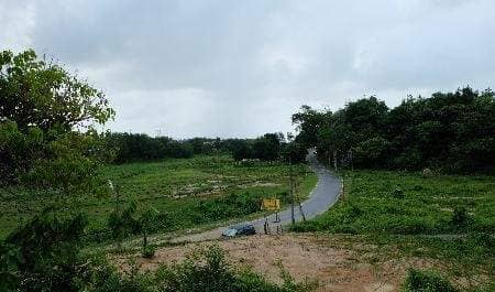 Land plot 